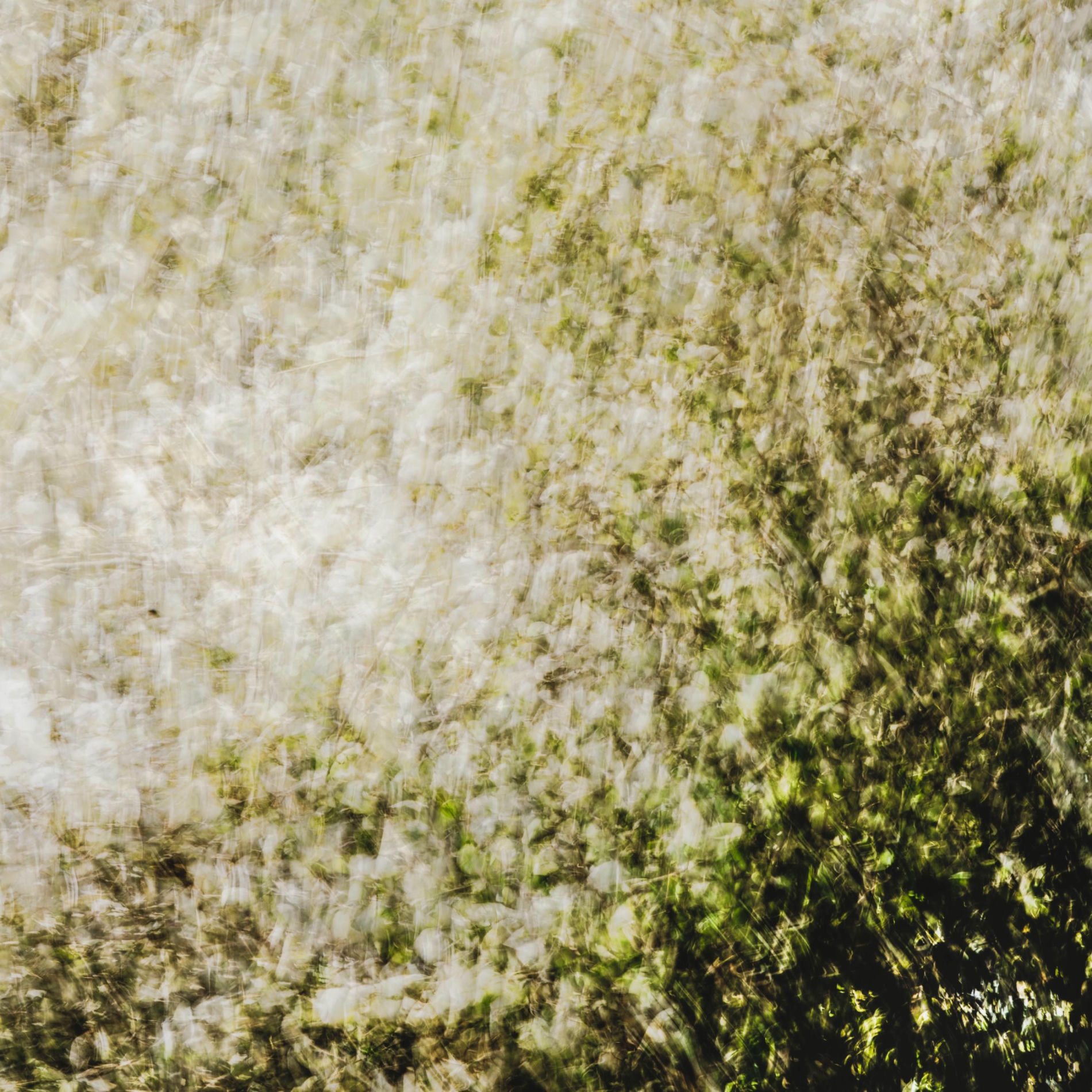 Album cover of Never Enough