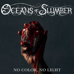 Cover of No Color, No Light