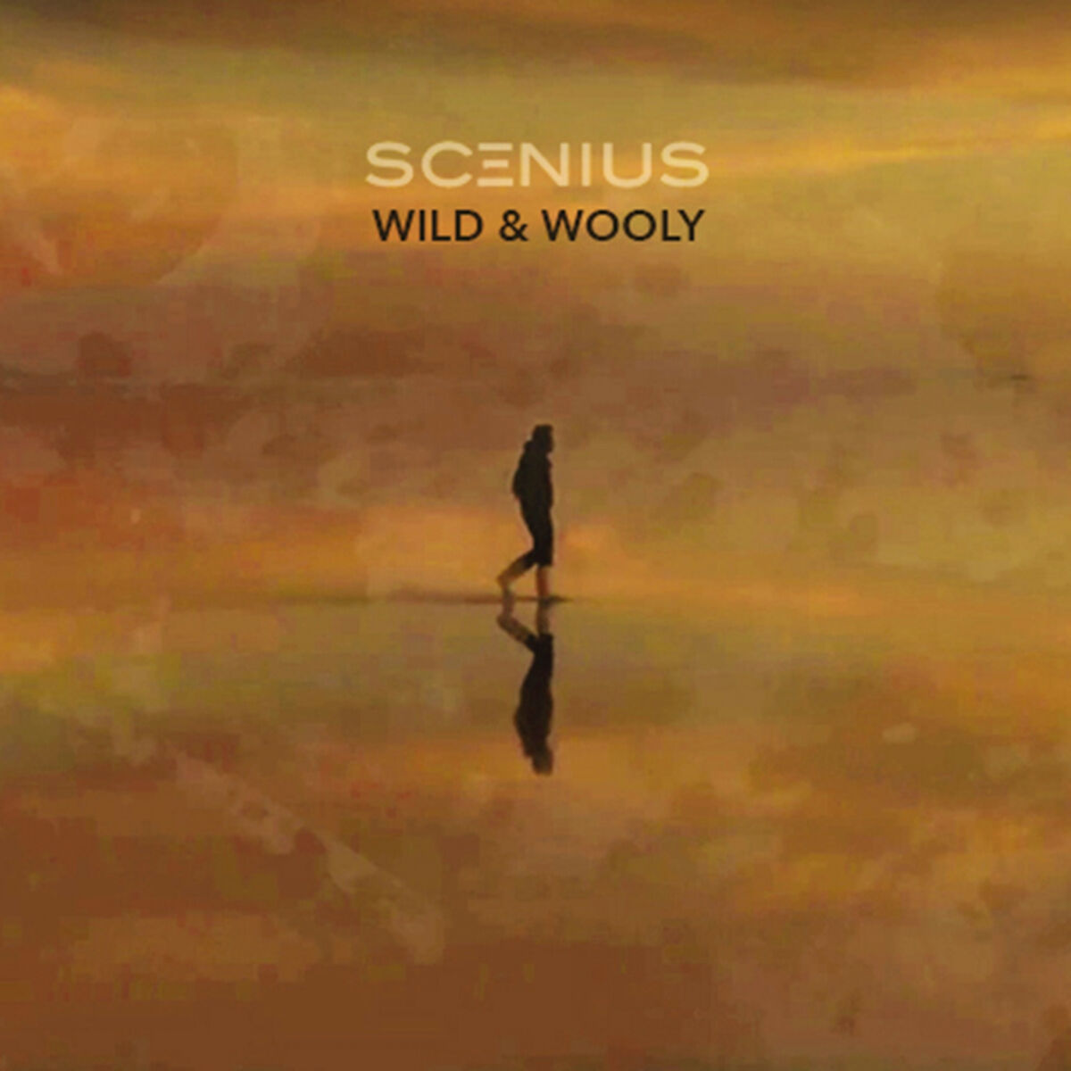Album cover of Wild & Wooly
