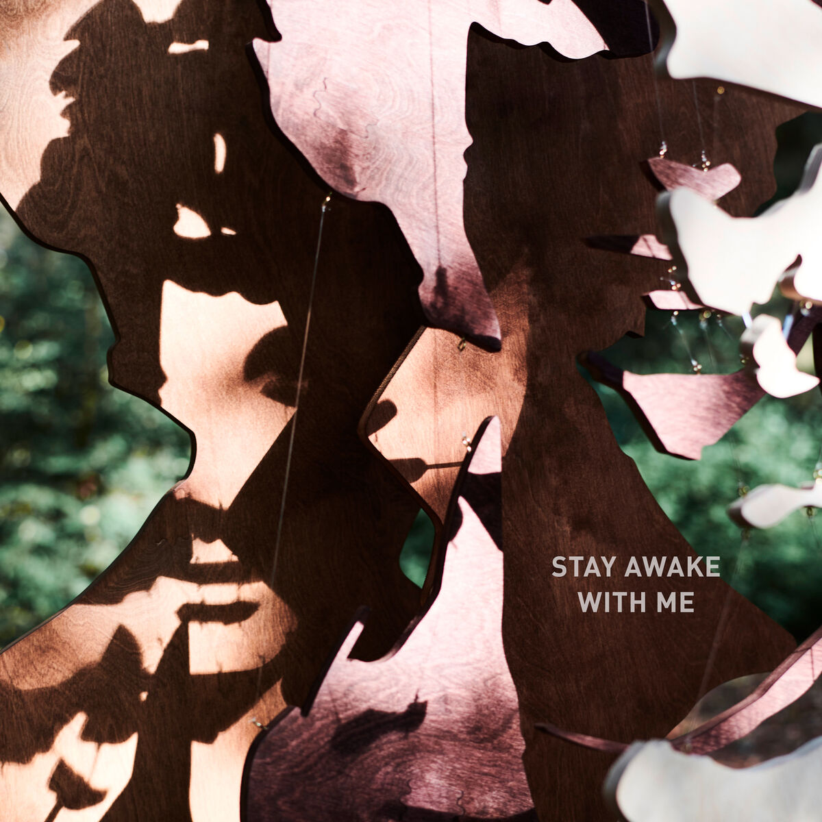 Album cover of Stay Awake with Me