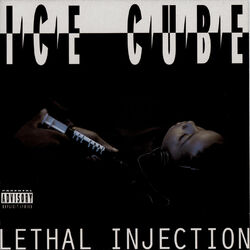 Cover of Lethal Injection