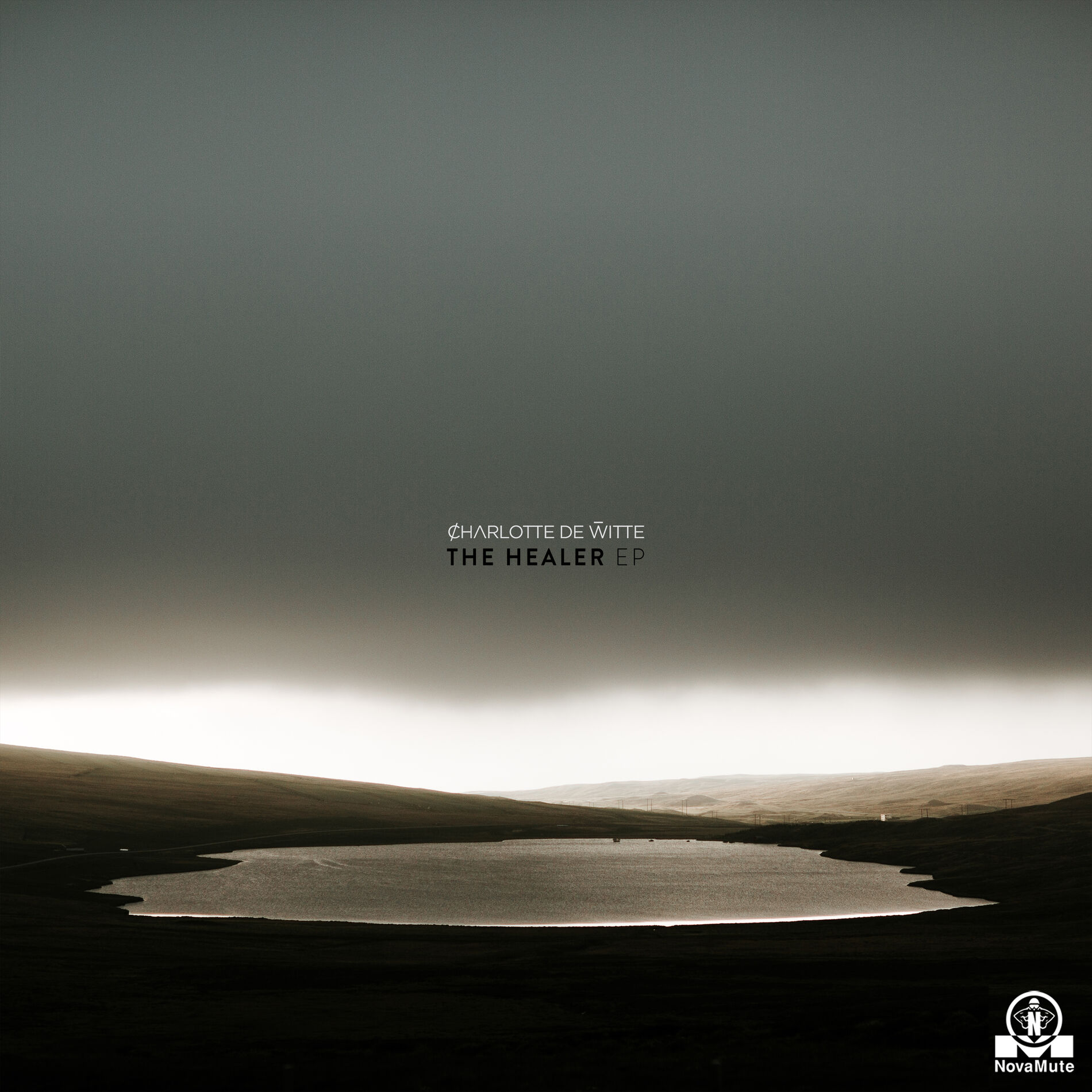 Album cover of The Healer