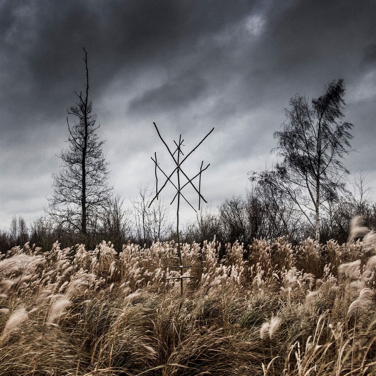 Album cover of Svanesang
