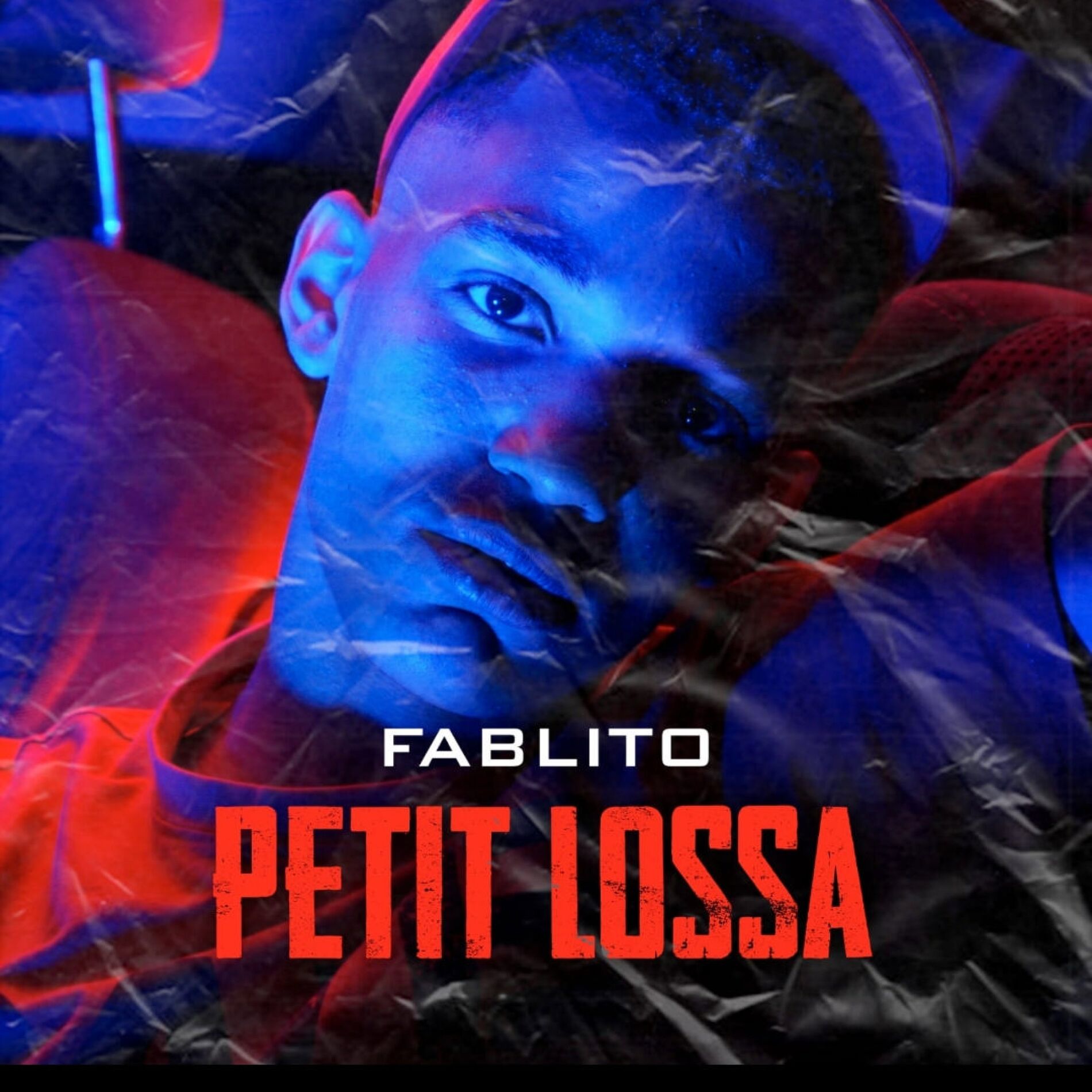 Album cover of Petit Lossa