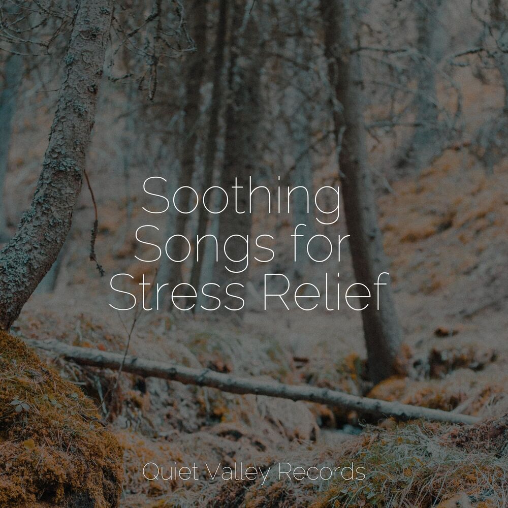 Picture of Soothing Songs for Stress Relief