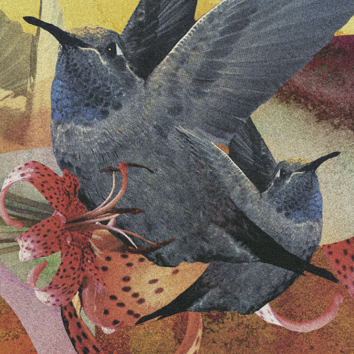 Album cover of Bitter Sweet Valentines