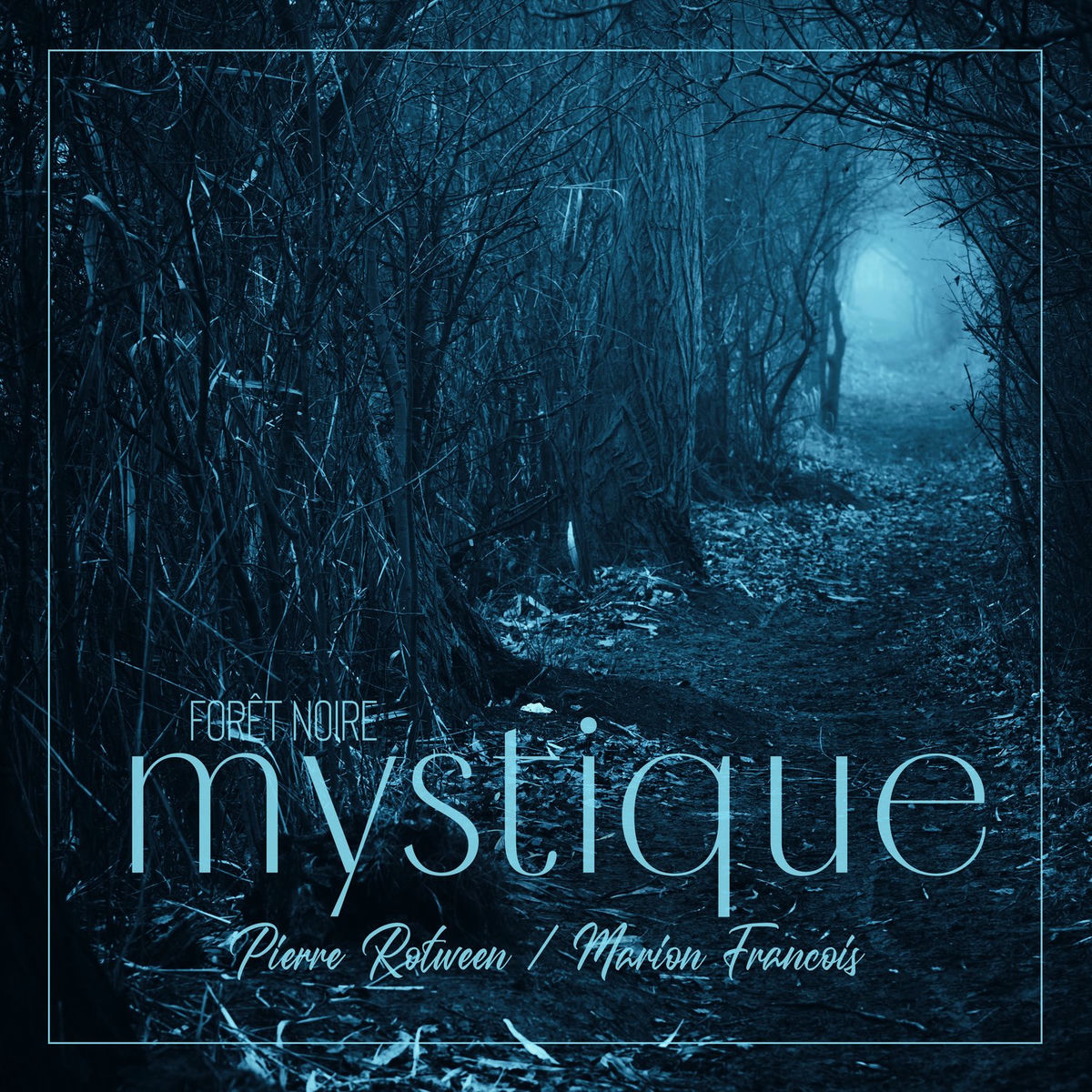 Album cover of Forêt noire mystique: Tons de guérison naturels