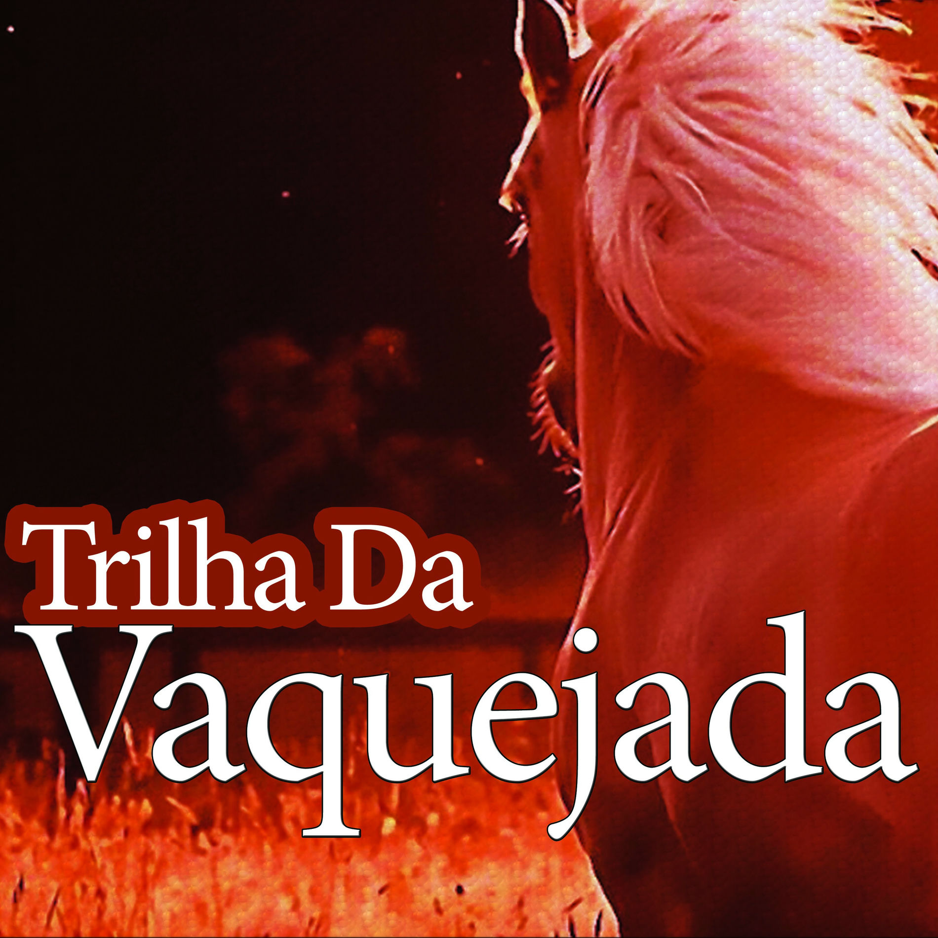 Album cover of Trilha Da Vaquejada