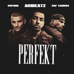 Cover of Perfekt