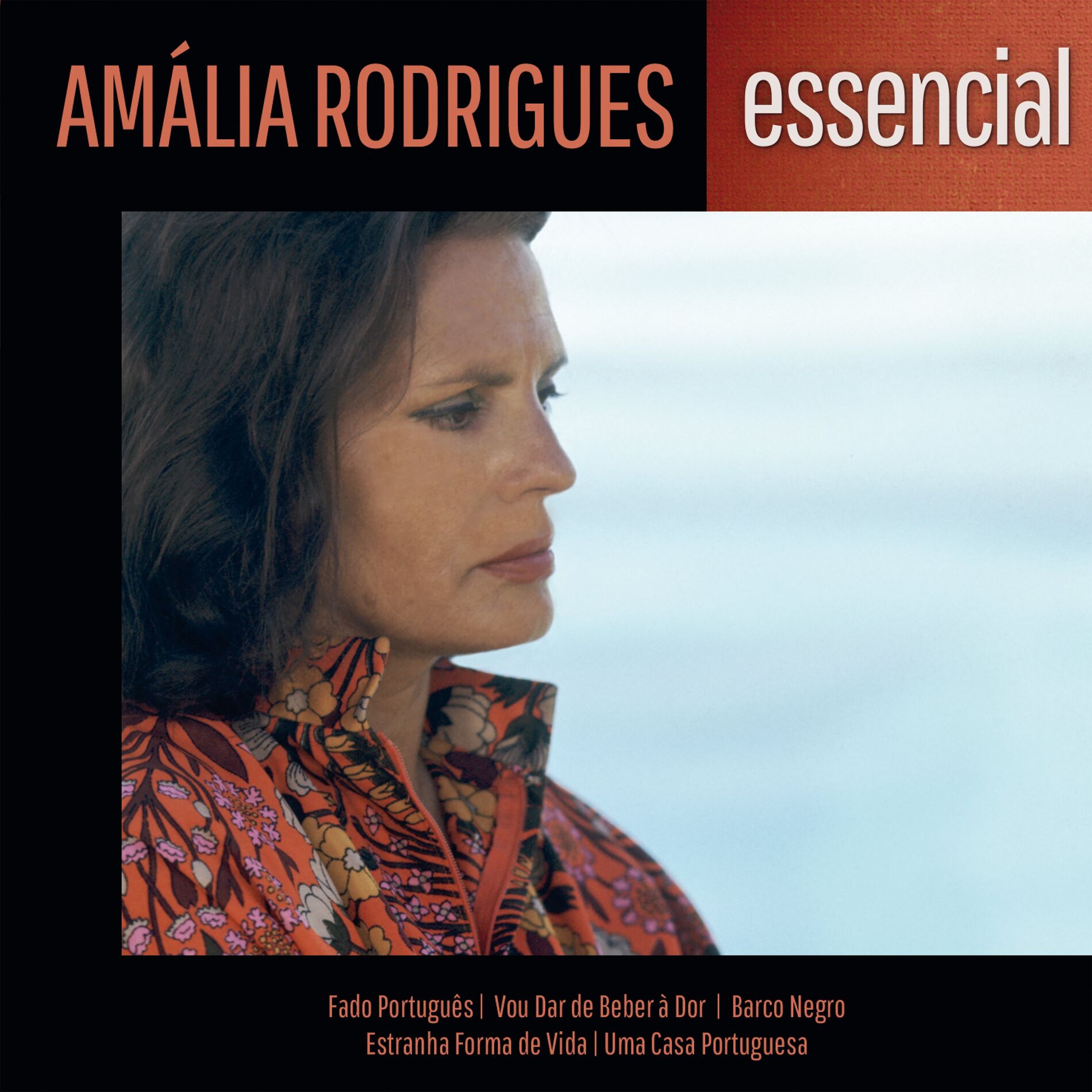 Album cover of Gaivota