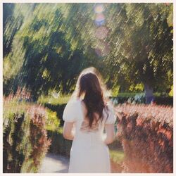 Cover of Dreamstate