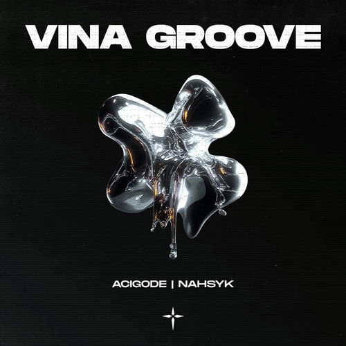 VINA GROOVE