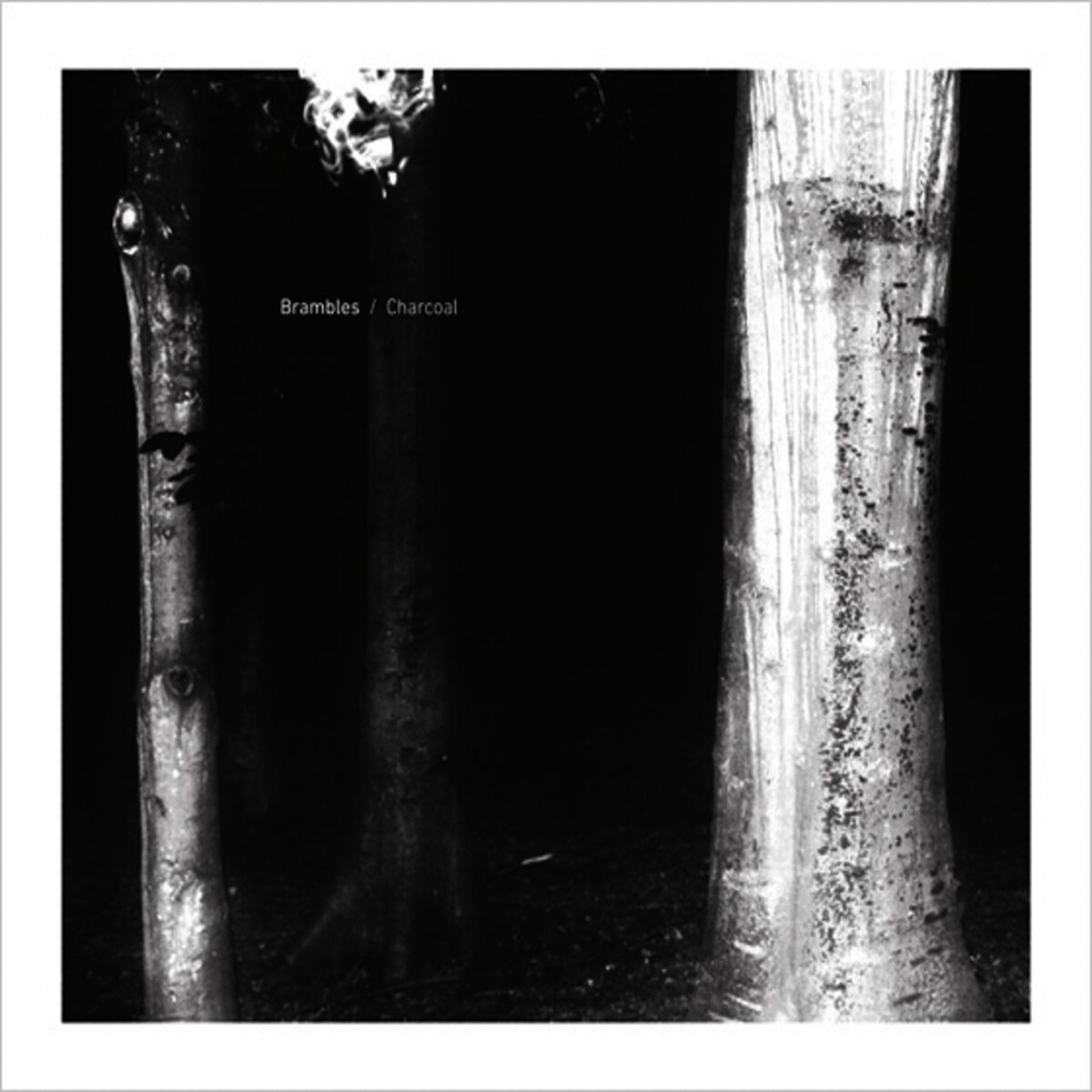 Album cover of In the Androgynous Dark