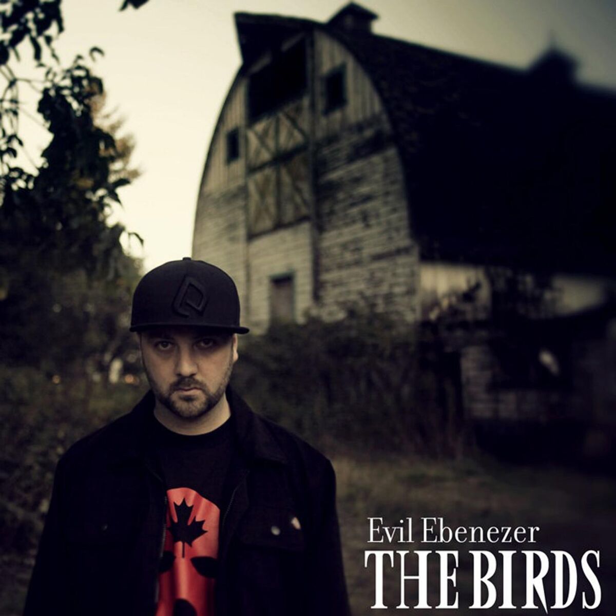 Album cover of Wake Up