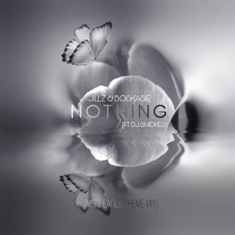 Picture of Nothing (feat. DJ Smokes) [Miss Eagle Mix]