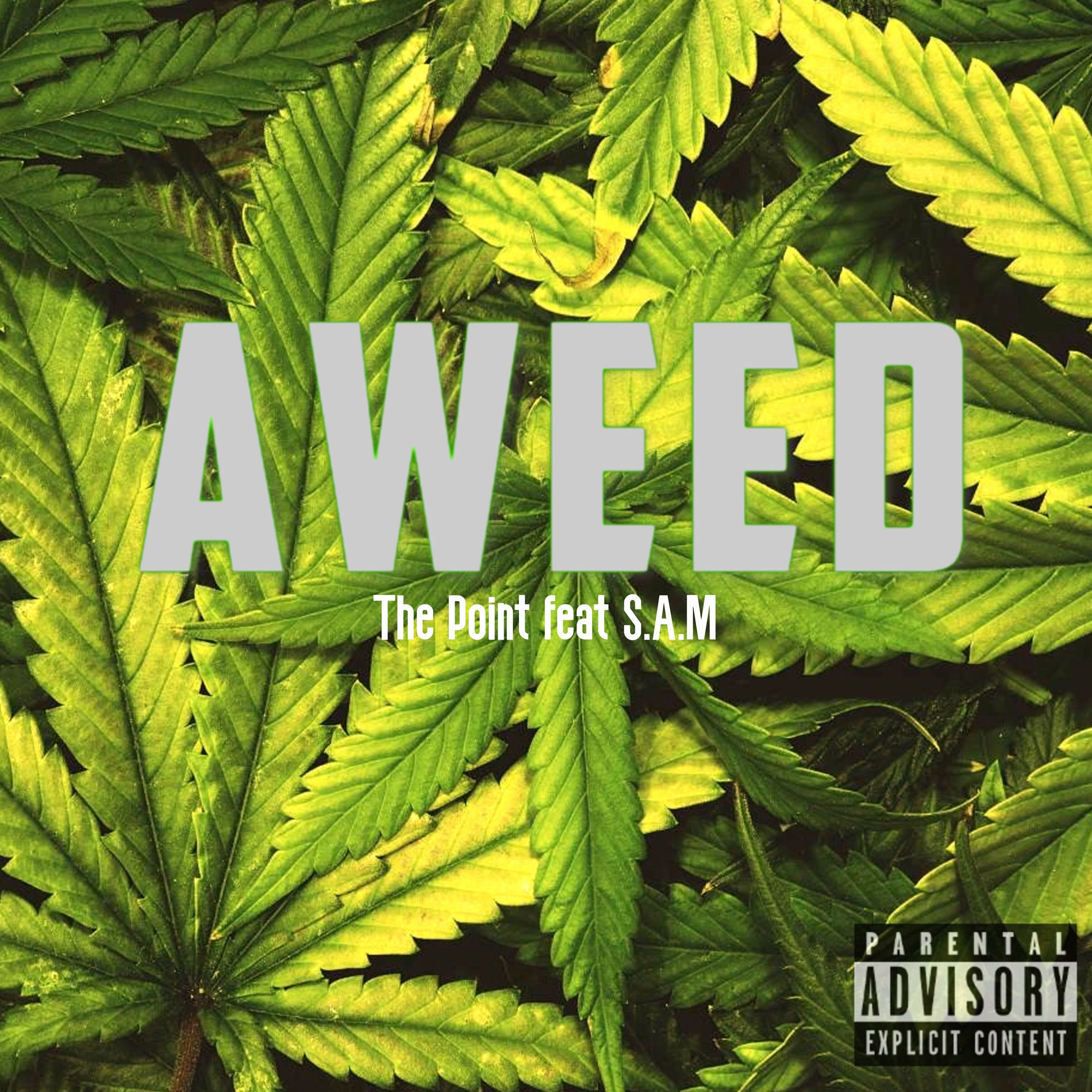 Album cover of Aweed