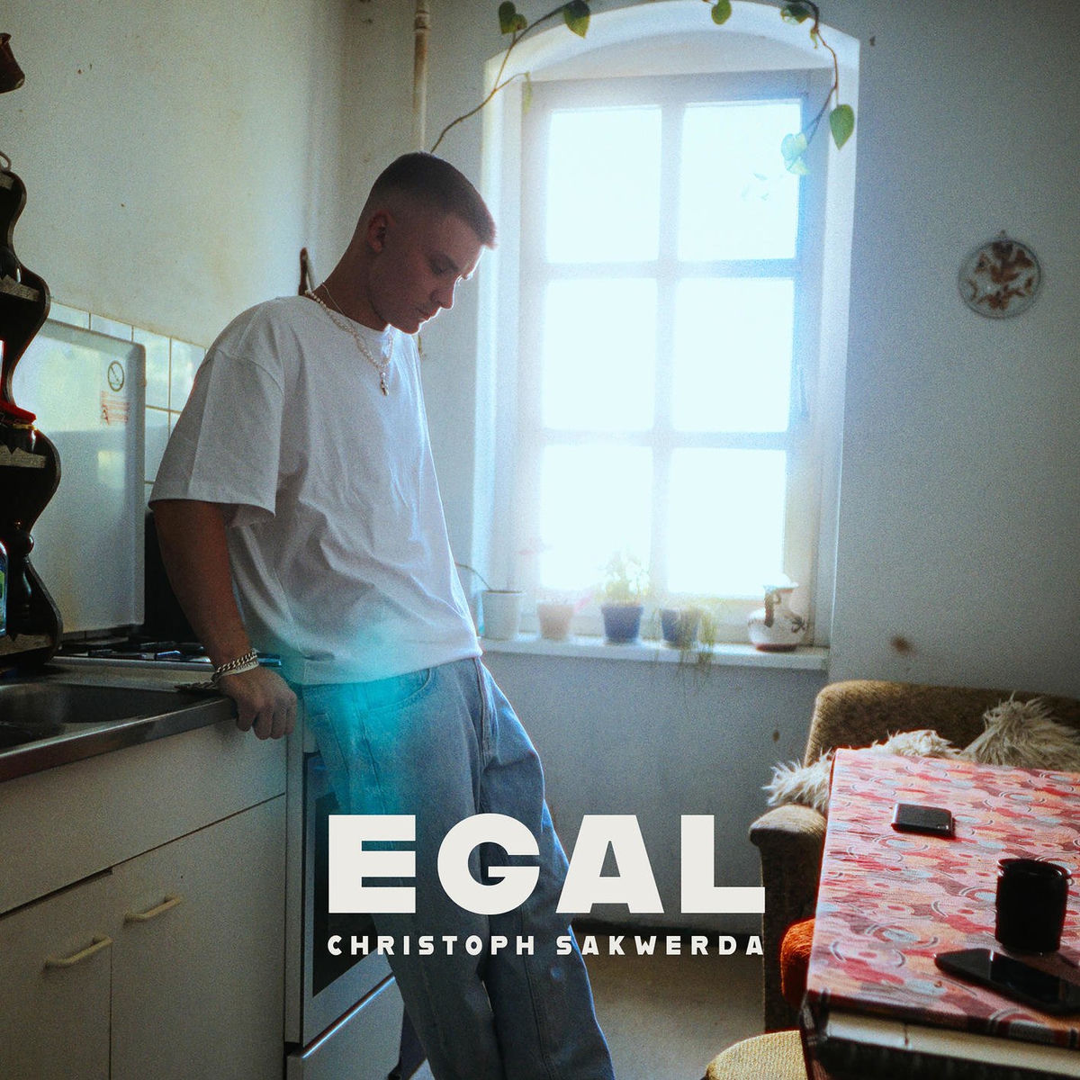 Album cover of Egal