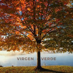 Cover of Virgen Verde