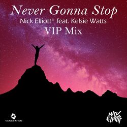 Cover of Never Gonna Stop (VIP Mix)