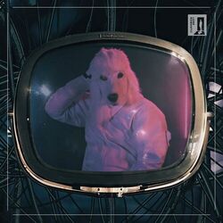 Cover of Moon Sky