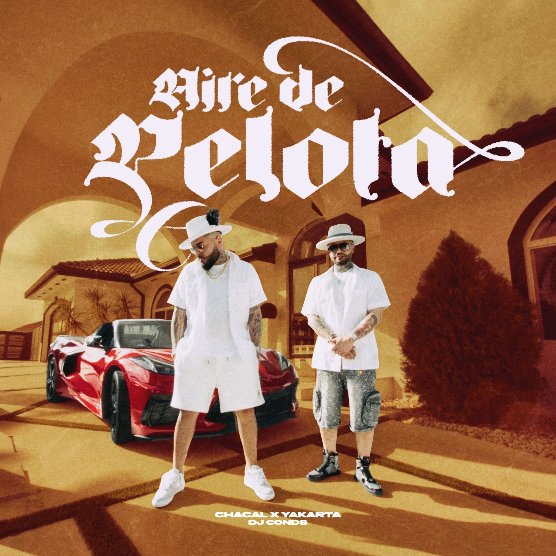 Album cover of Aire de Pelota