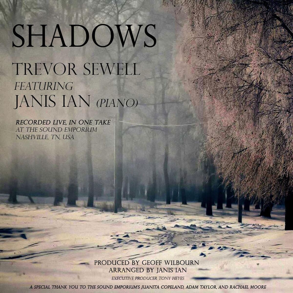 Album cover of Shadows (Live)