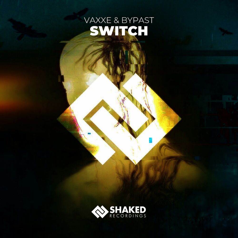 Picture of Switch