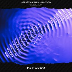 Cover of Vibration