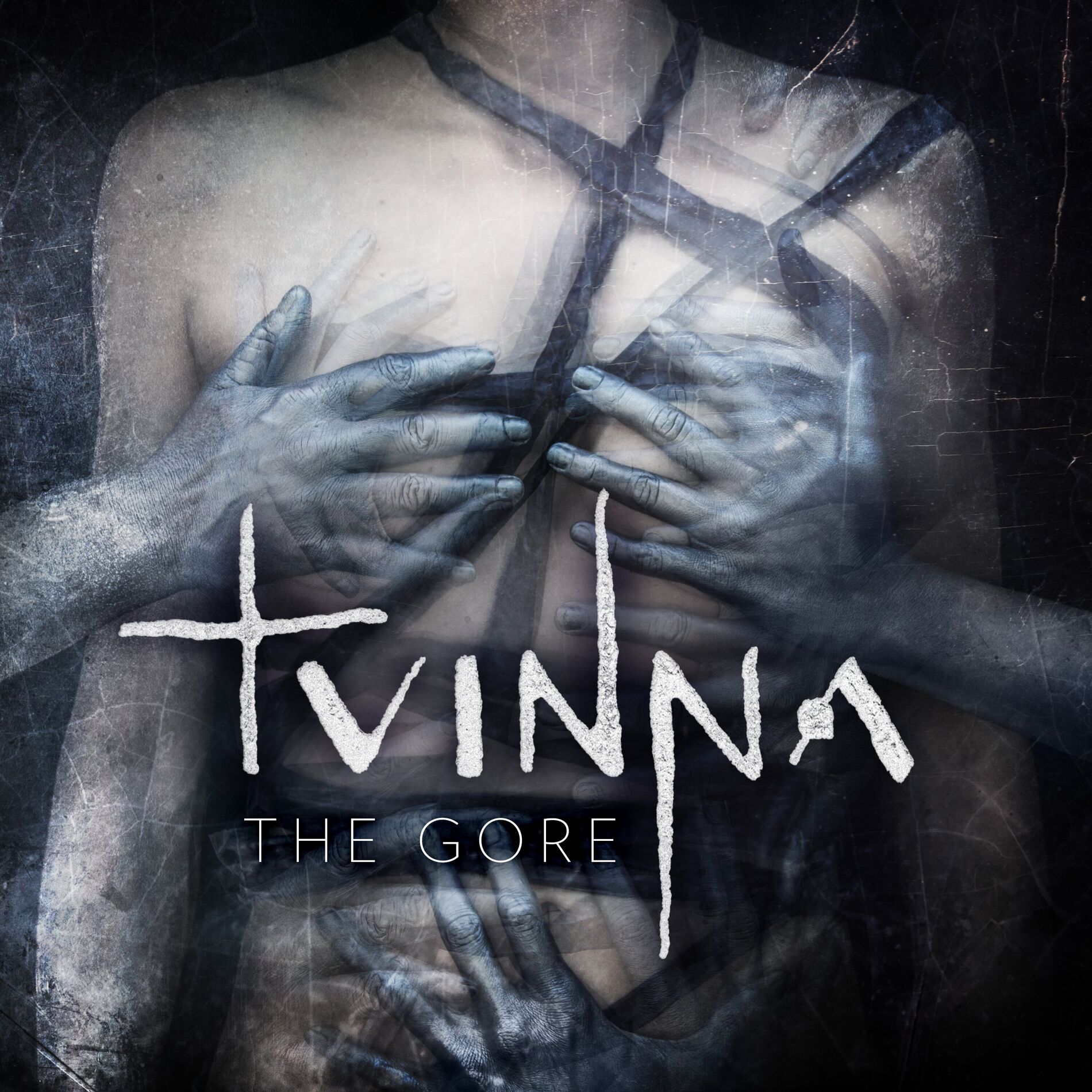 Album cover of The Gore