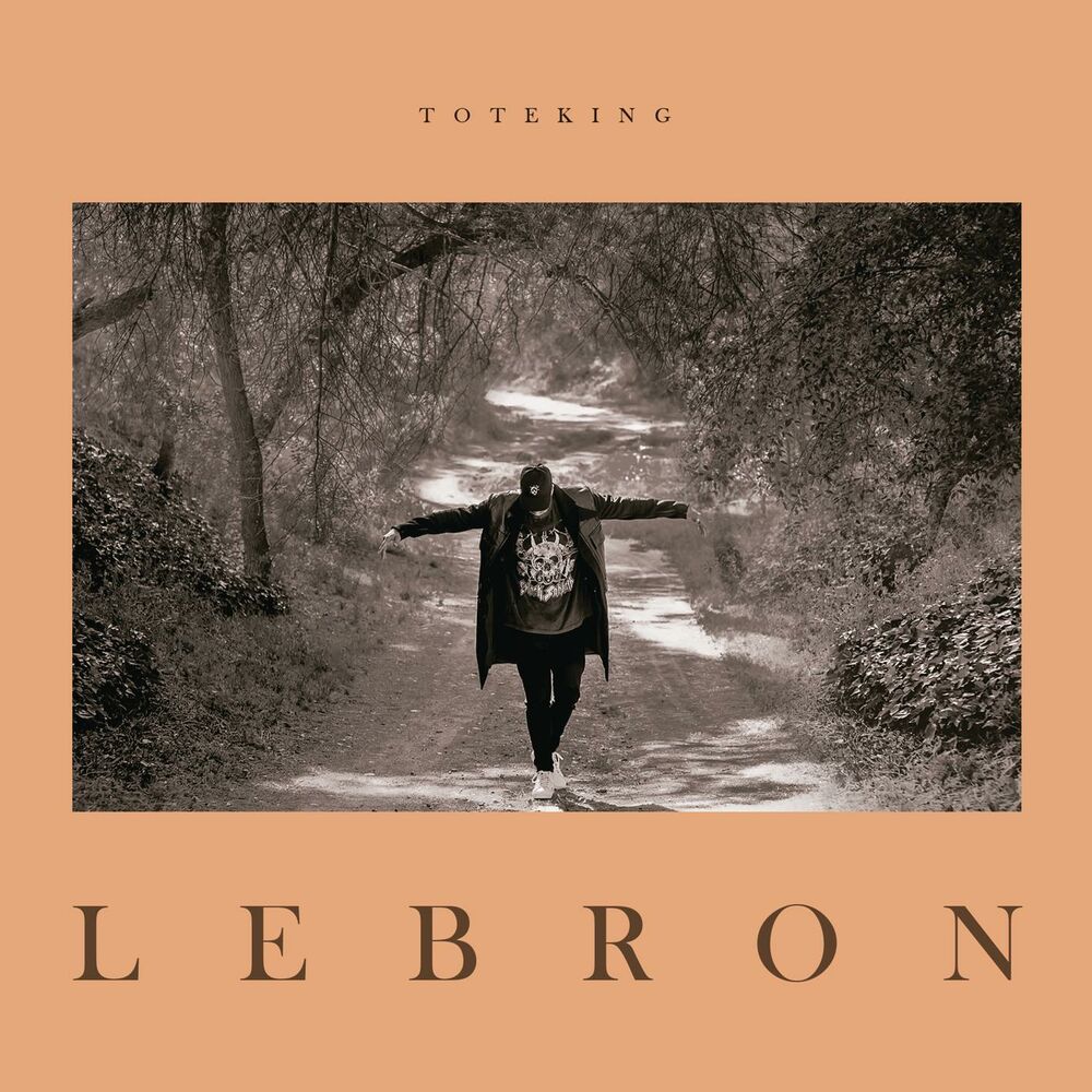 Picture of Lebron