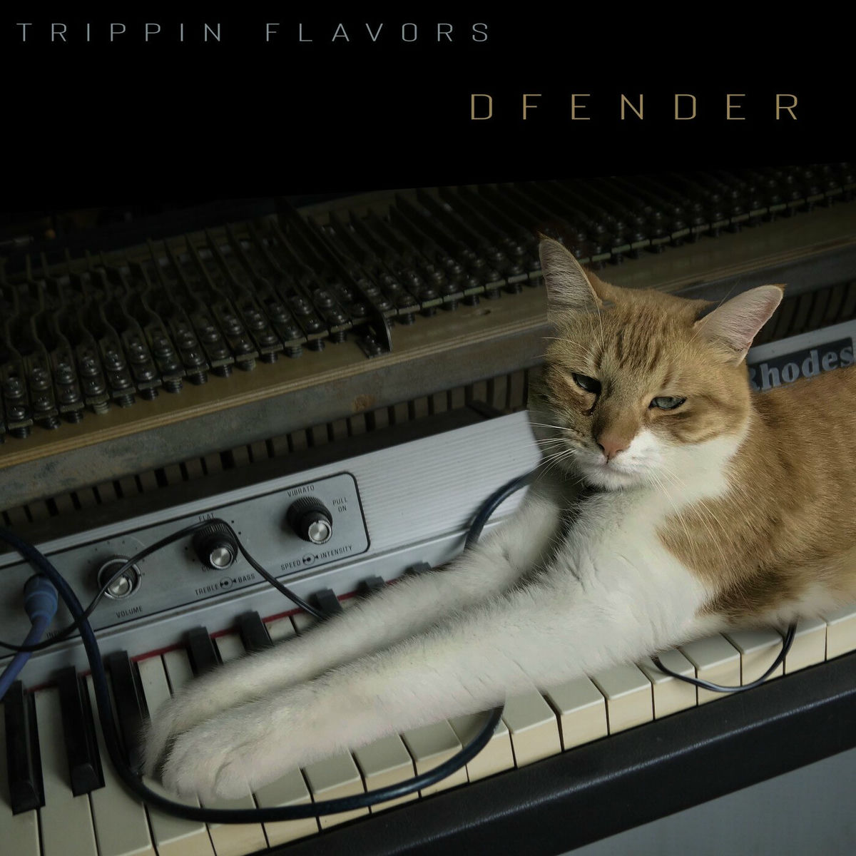 Album cover of Trippin Flavors