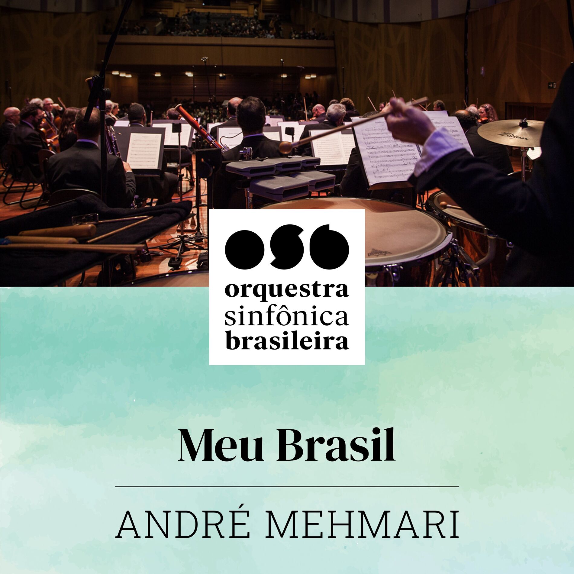 Album cover of Meu Brasil (Ao Vivo)