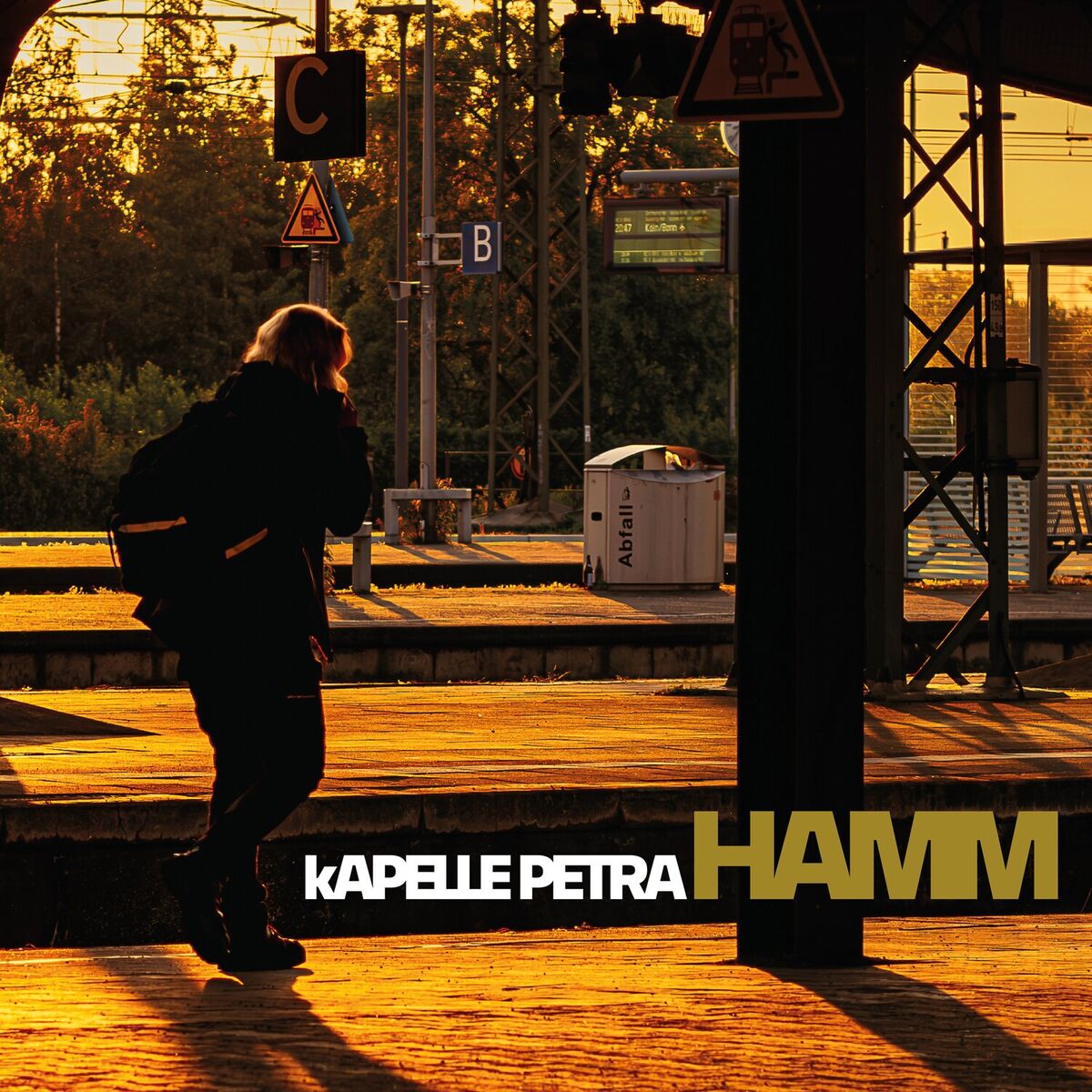 Album cover of HAMM