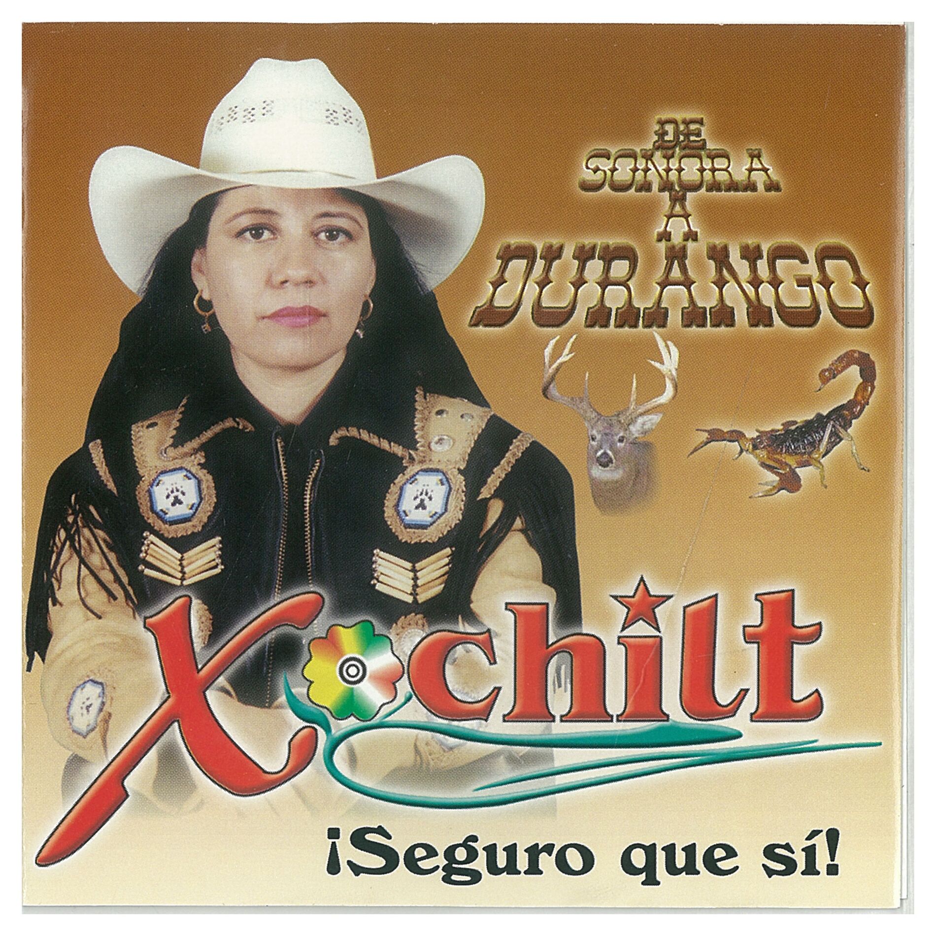 Album cover of De Sonora a Durango. ¡Seguro que si!