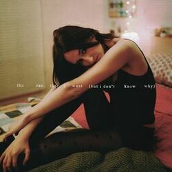 Cover of The One That I Want (But I Don’t Know Why)