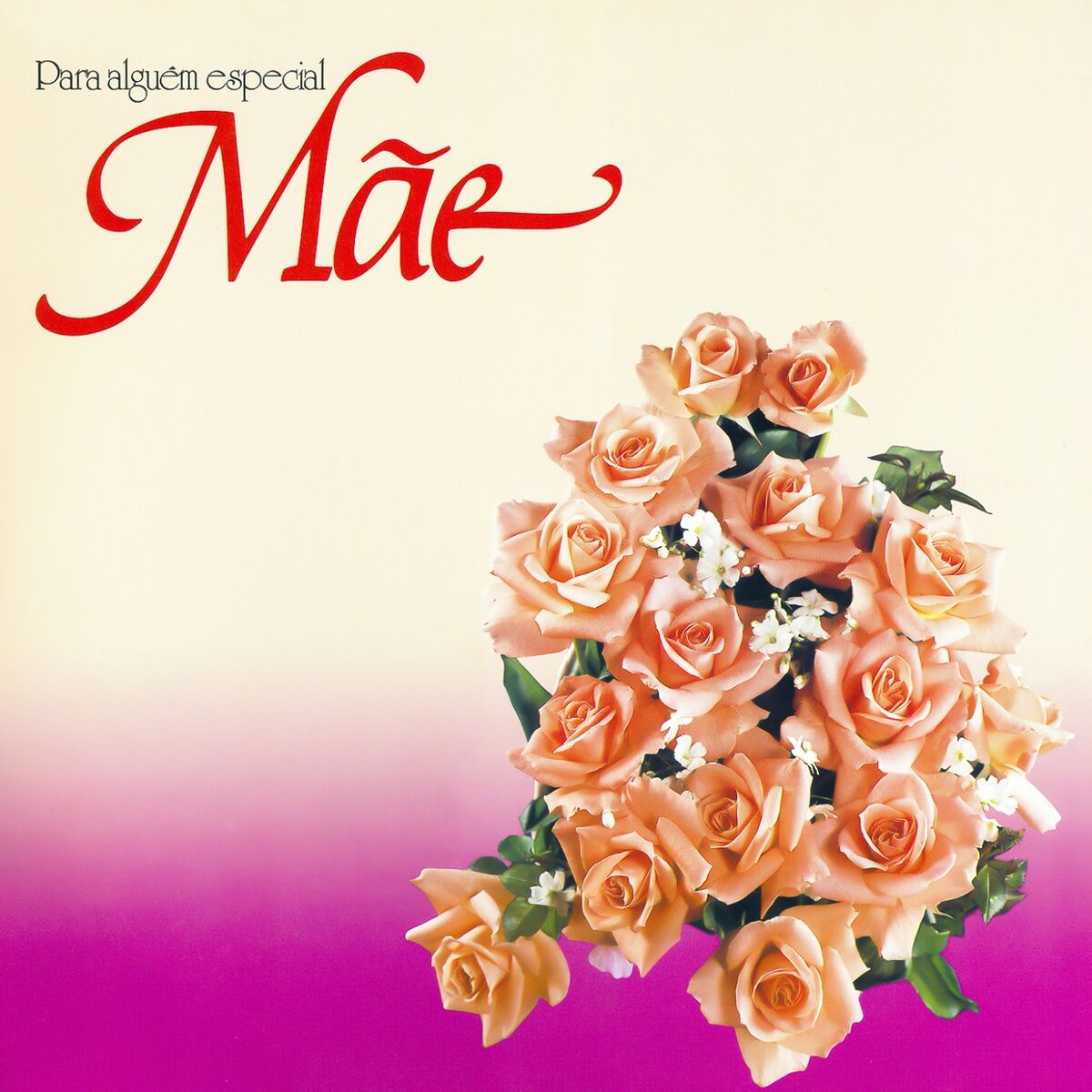 Album cover of Para Alguém Especial, Mãe