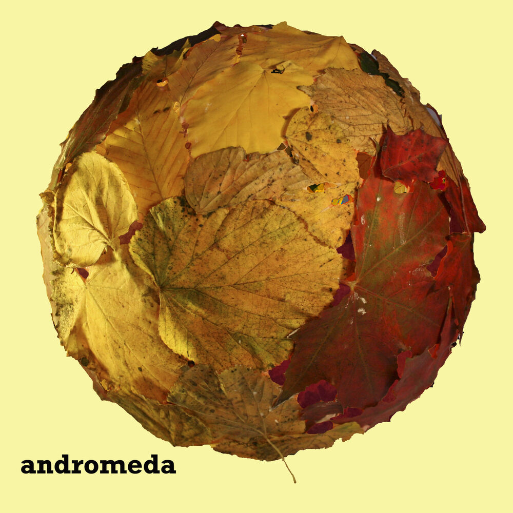 Picture of Andromeda