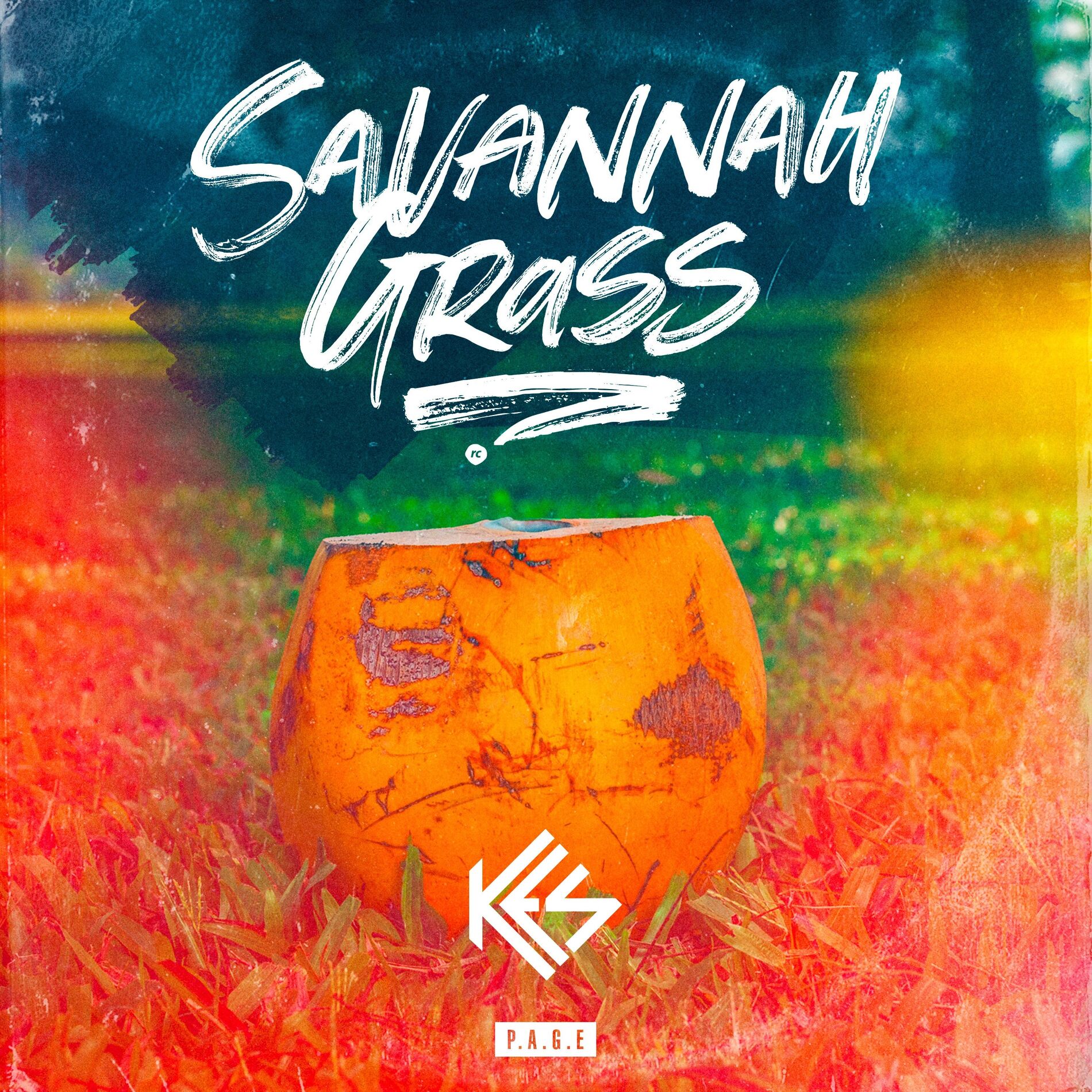 Album cover of Savannah Grass
