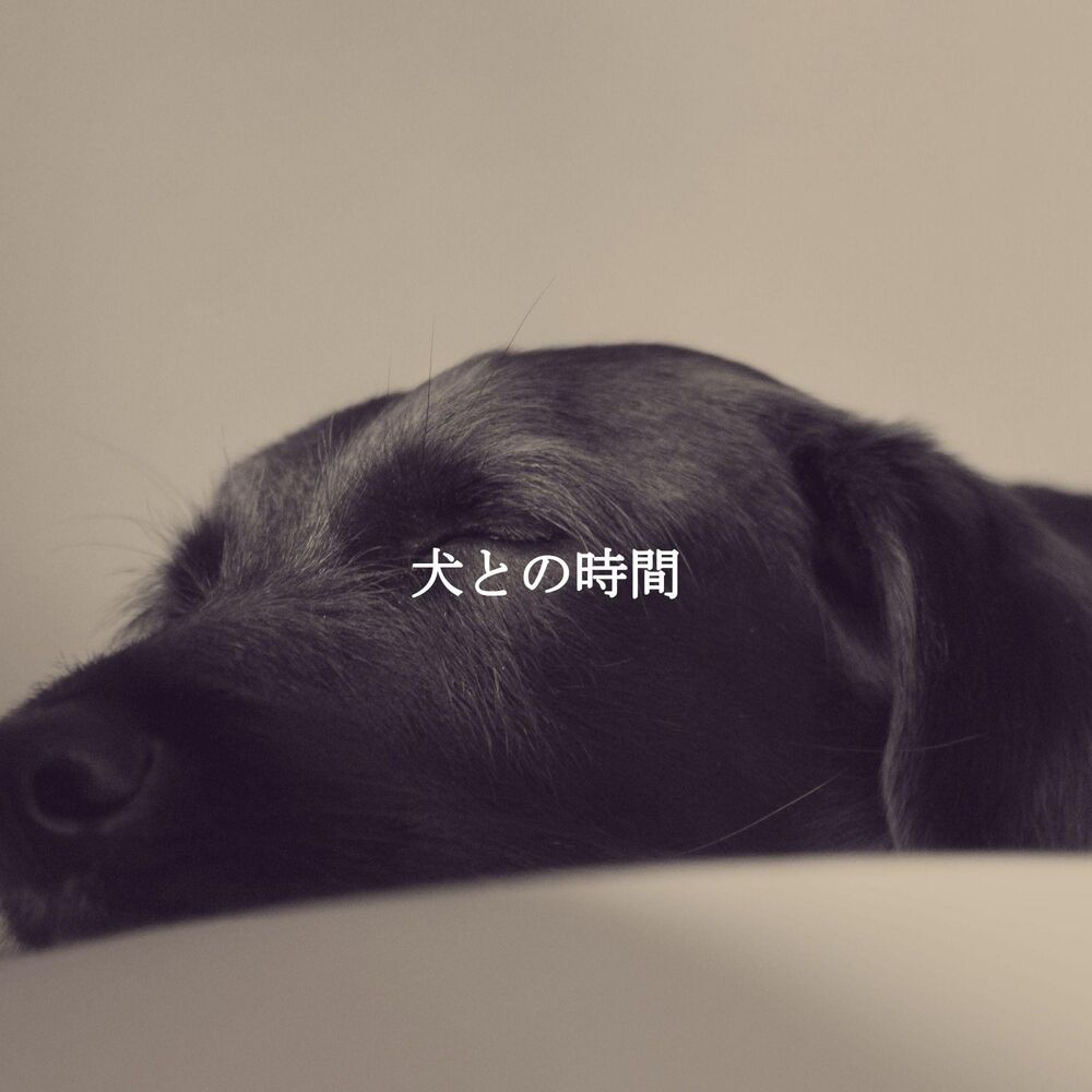 Picture of 犬との時間