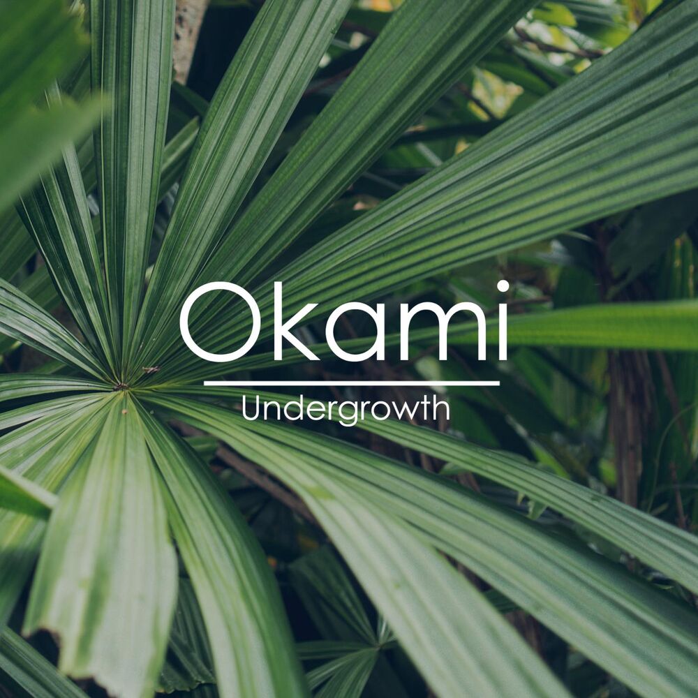 Picture of Undergrowth
