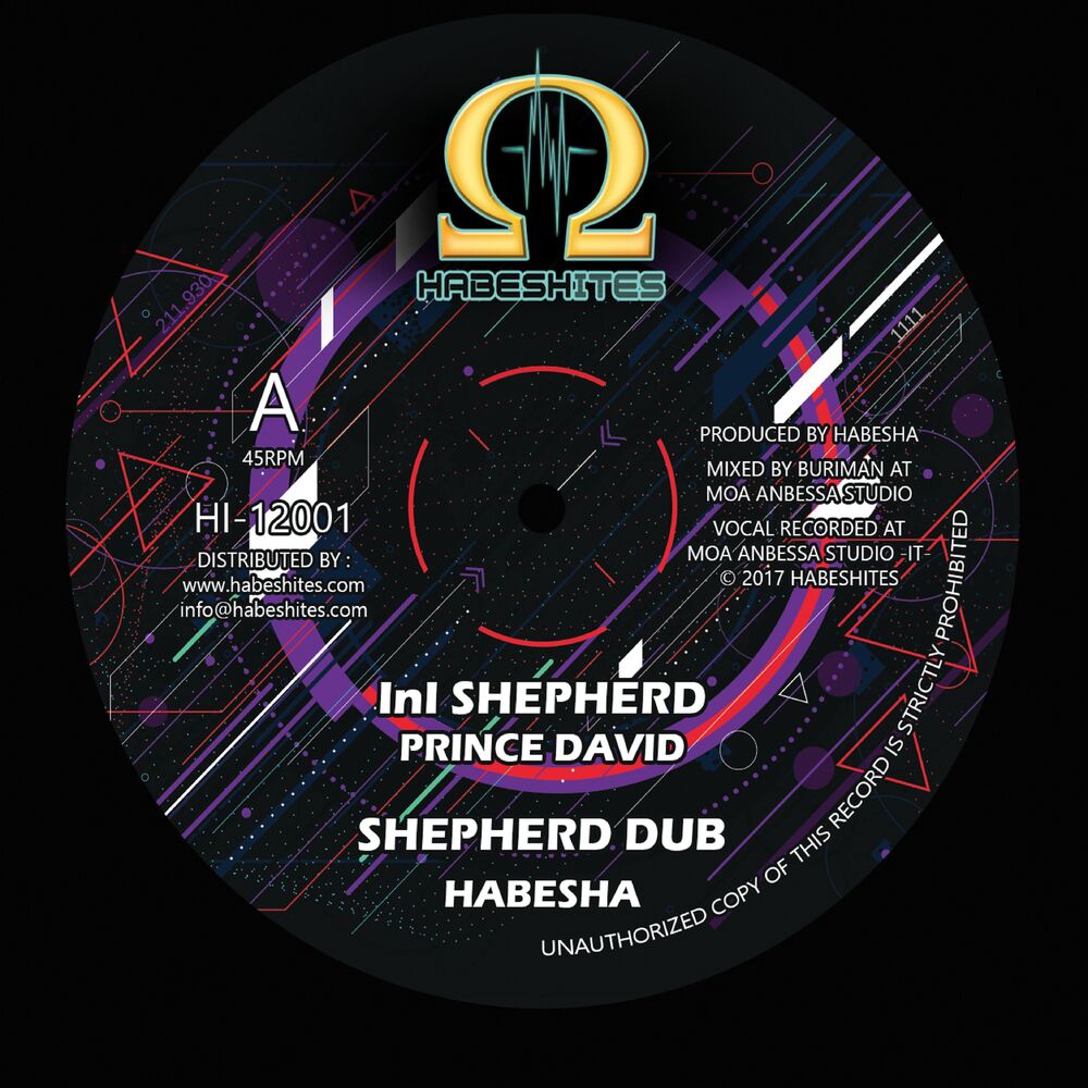 Picture of InI Shepherd