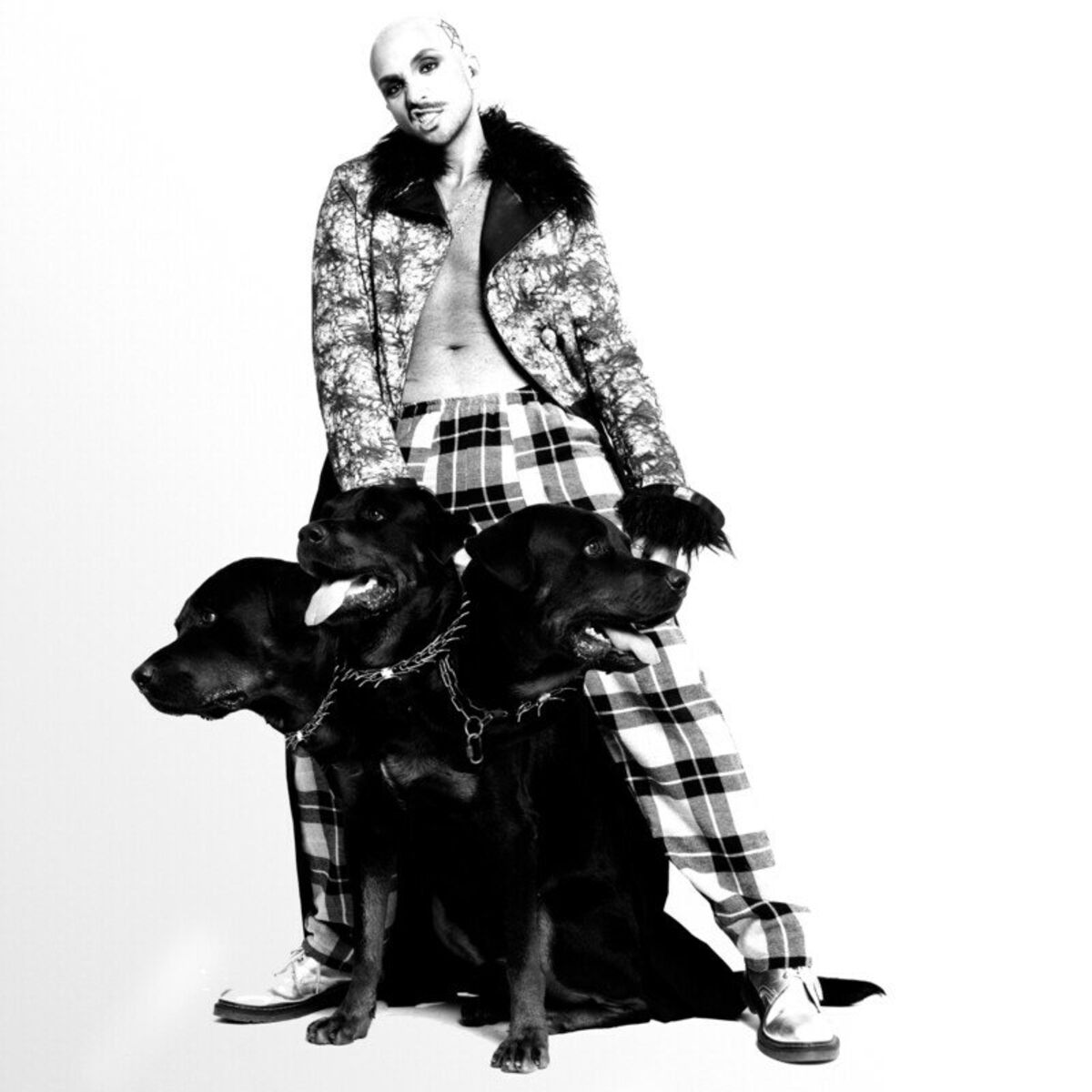 Album cover of O Bestiário