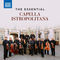 Andante festivo, JS 34b (Version for string orchestra) by Adrian Leaper album cover