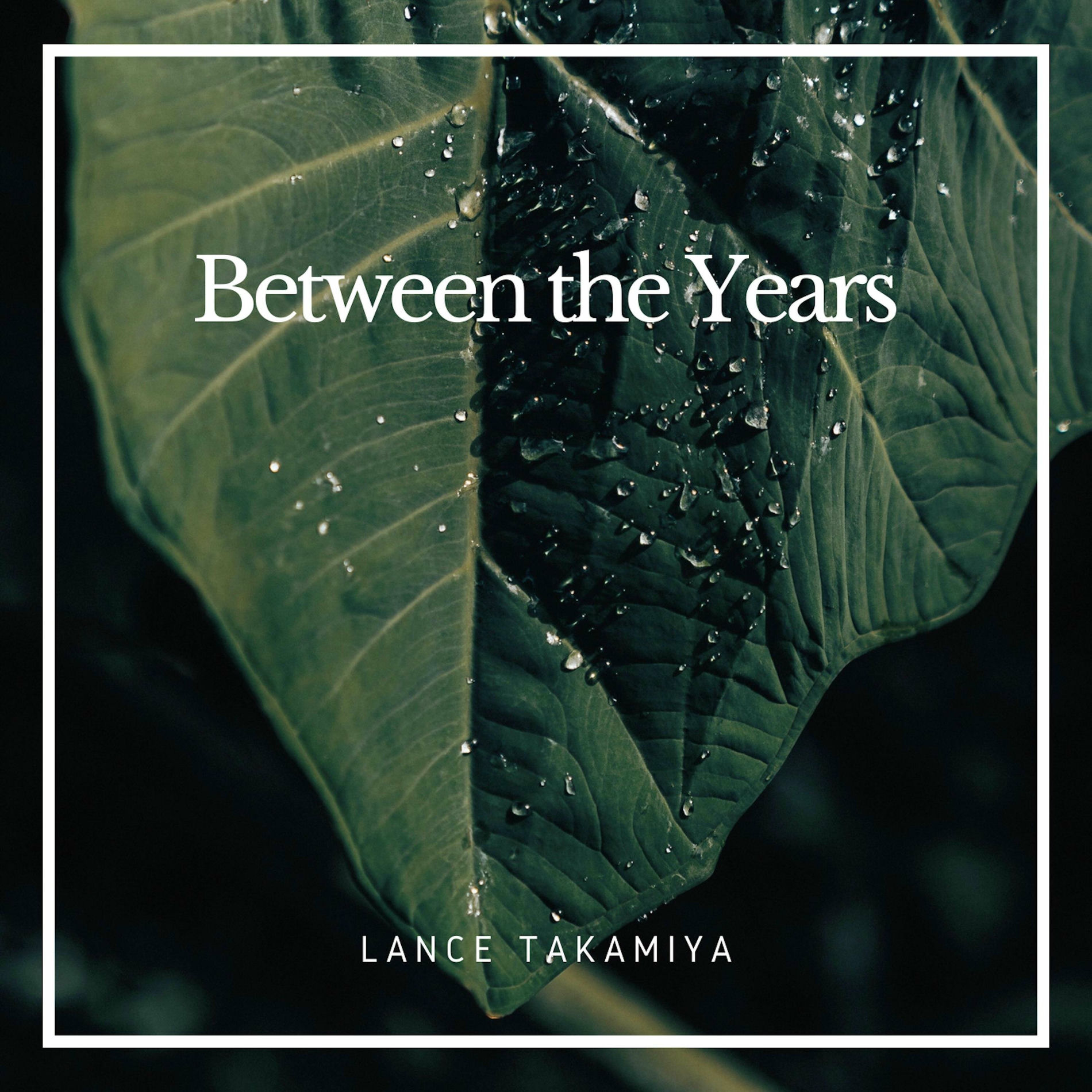 Album cover of Between the Years
