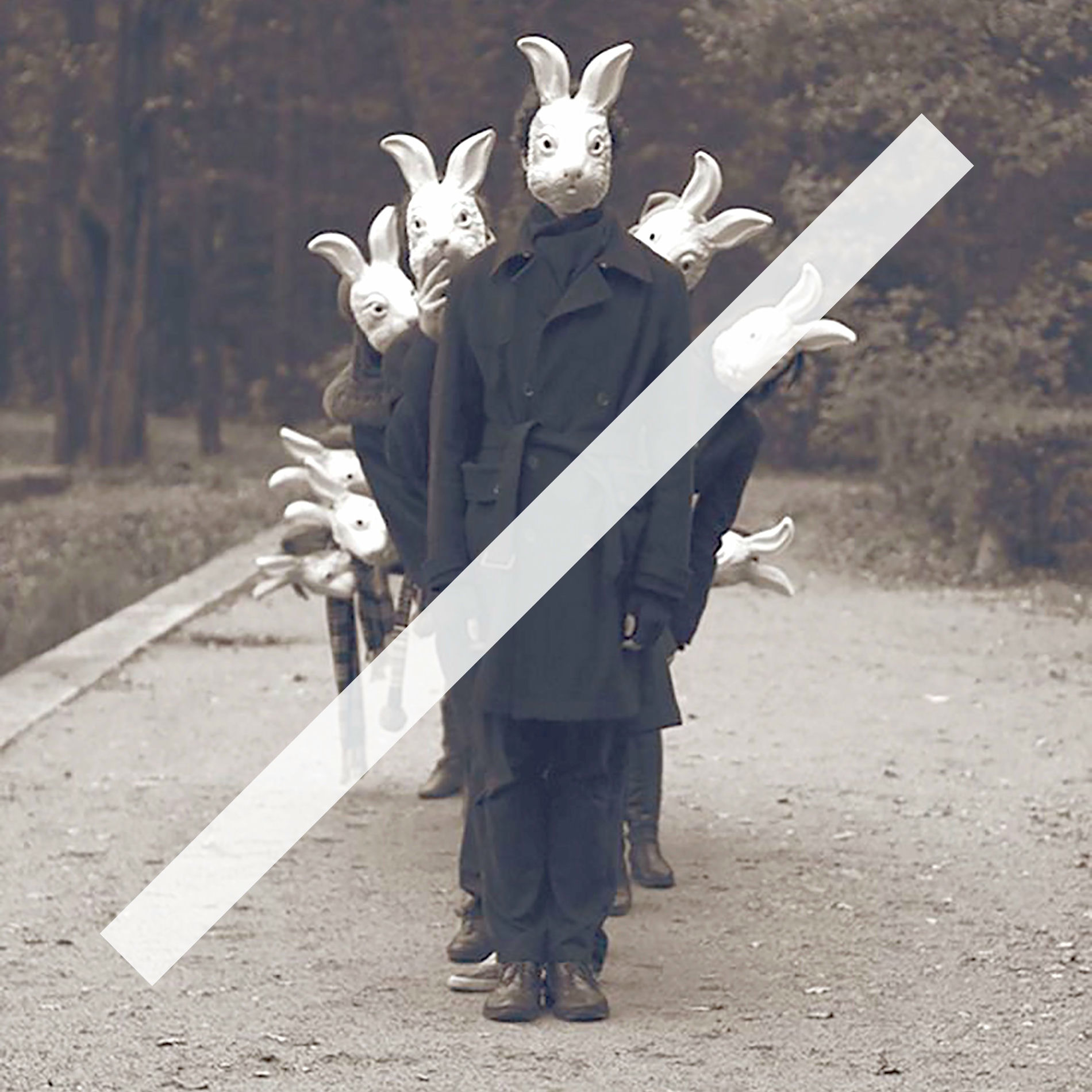 Album cover of Rabbit in your Headlights