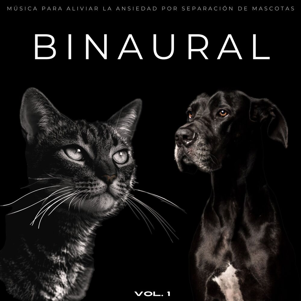 Picture of Binaural: Música Para Aliviar La Ansiedad Por Separación De Mascotas Vol. 1