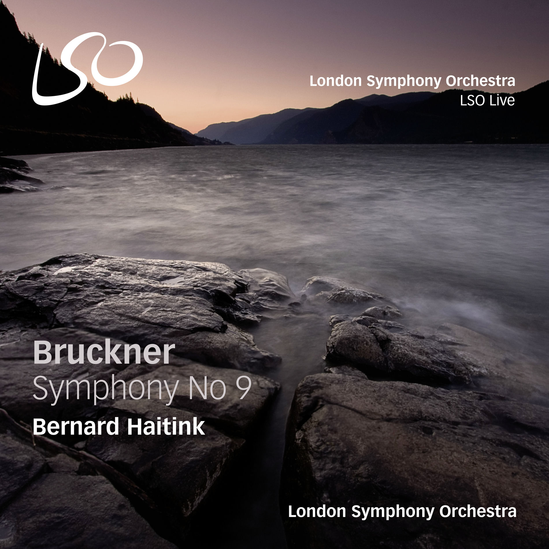 Album cover of Bruckner: Symphony No. 9