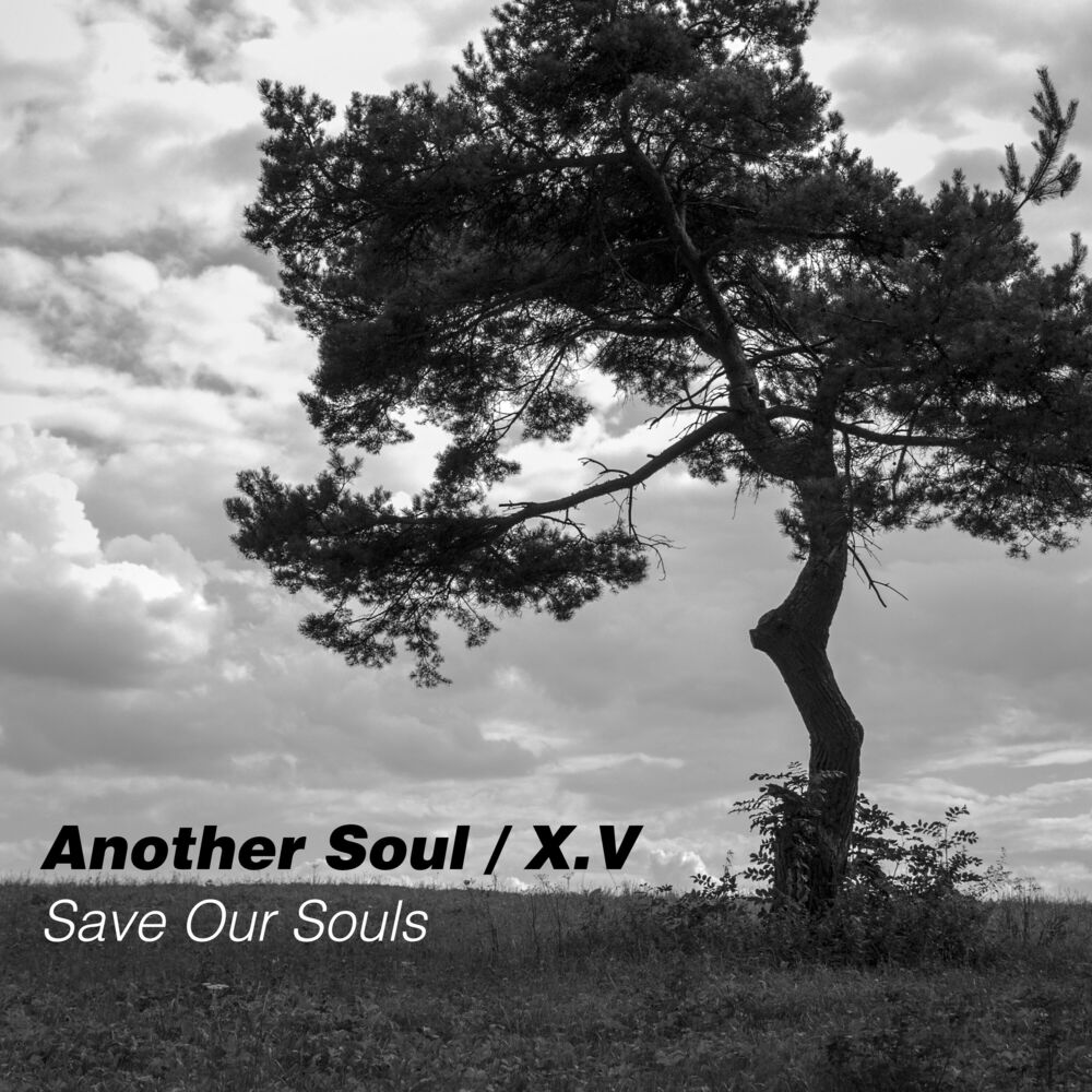 Picture of Save Our Souls
