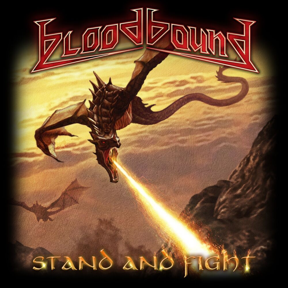Picture of Stand and Fight