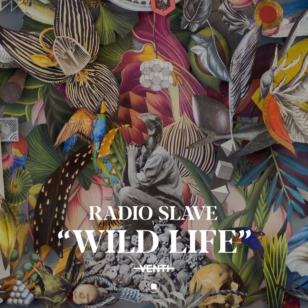 Album cover of Wild Life
